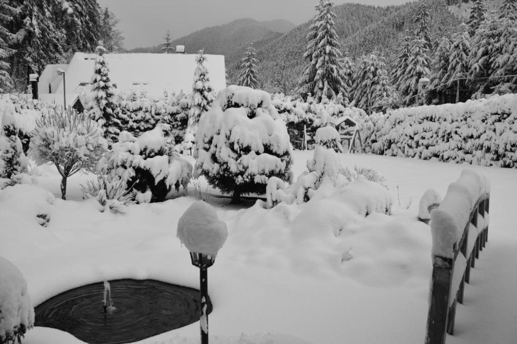 Chalets Adriana Demänovská Dolina Buitenkant foto